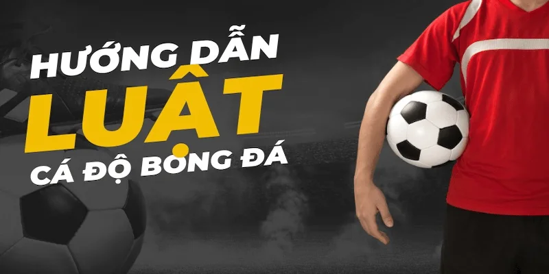 Quản lý vốn – nền tảng vàng để tồn tại lâu dài